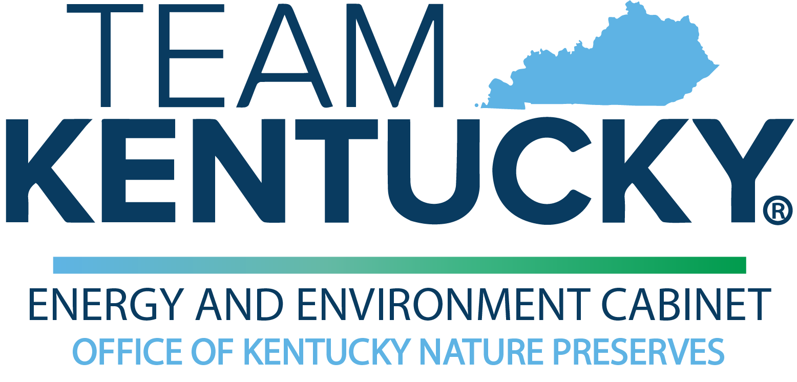 Team Kentucky logo